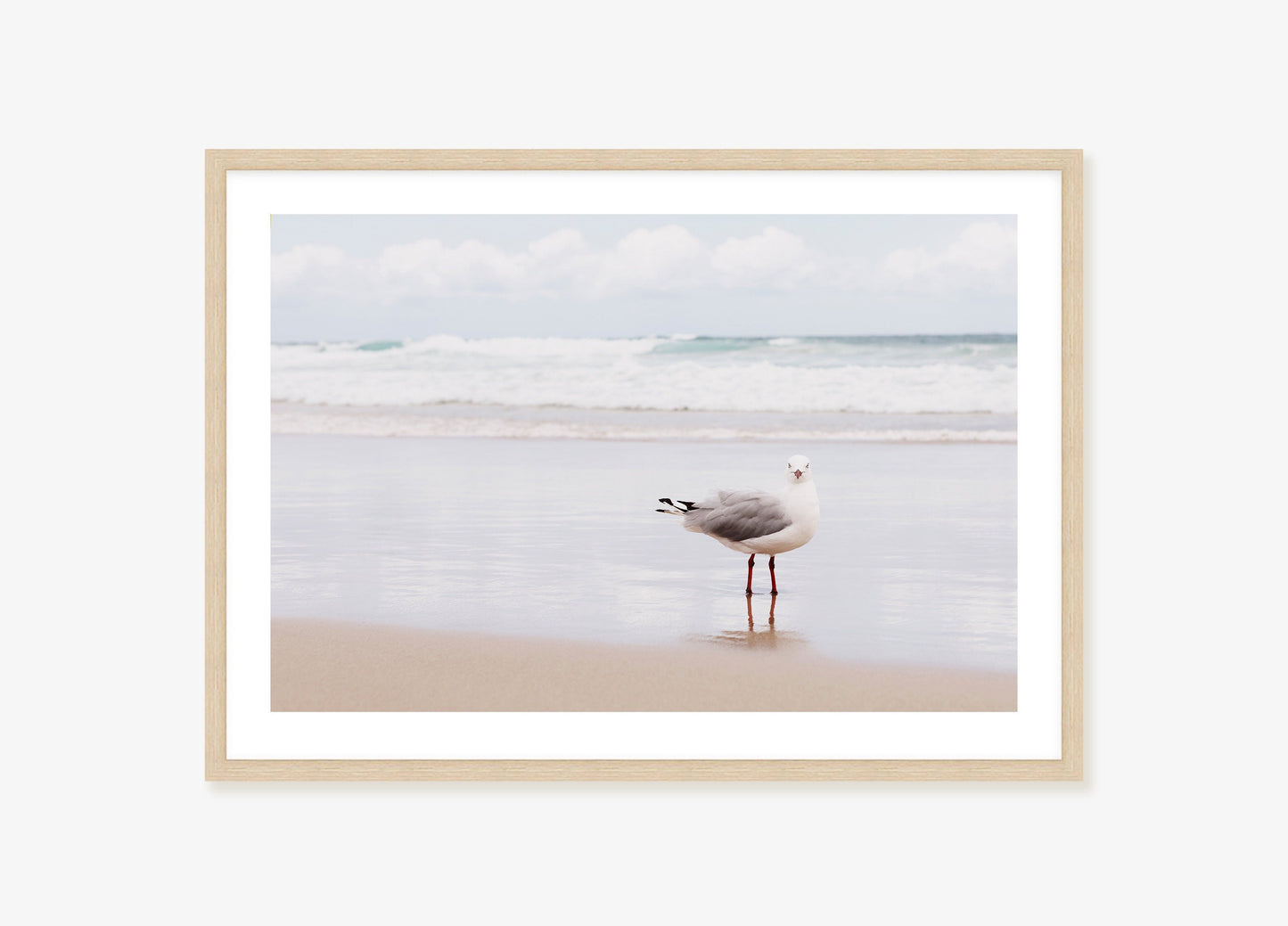 The Seagull