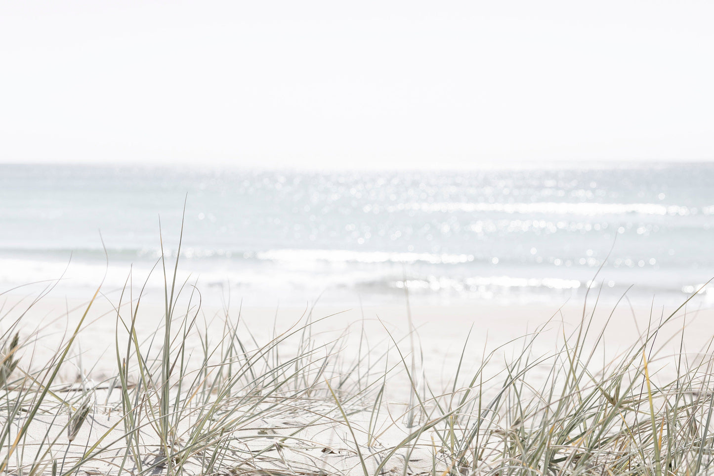 Sea Gull and Dunes Wall Art Set