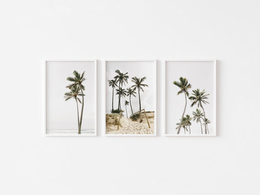 Palm Tree Trio Wall Art Set