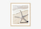 Star and Sand
