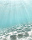 Submerged