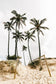 Palm Tree Duo No. 2 Wall Art Set