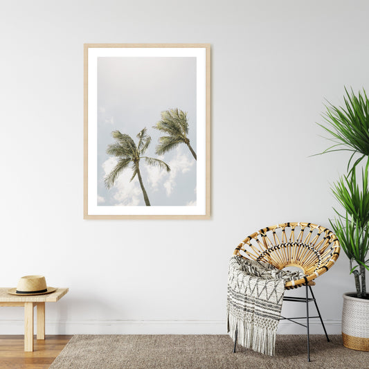 Palms on my Mind