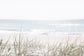 Sea Gull and Dunes Wall Art Set