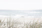 Sea Gulls and Palms Wall Art Set